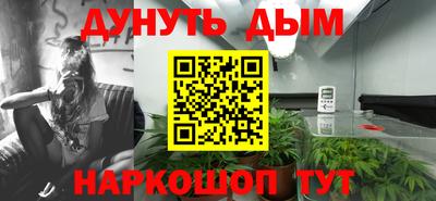 мяу мяу мука Малгобек