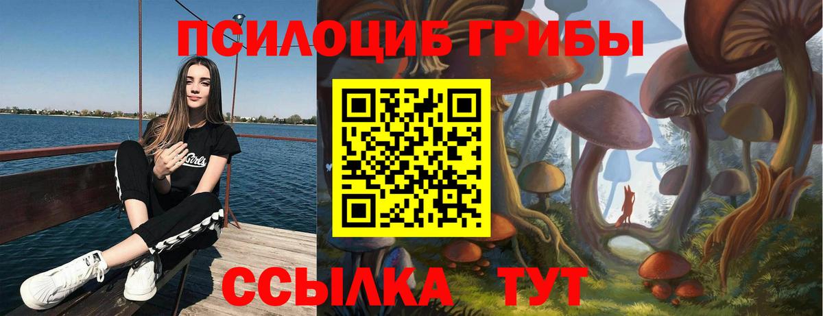 Иваново  Галлюциногенные грибы GOLDEN TEACHER  Вход с VPN 