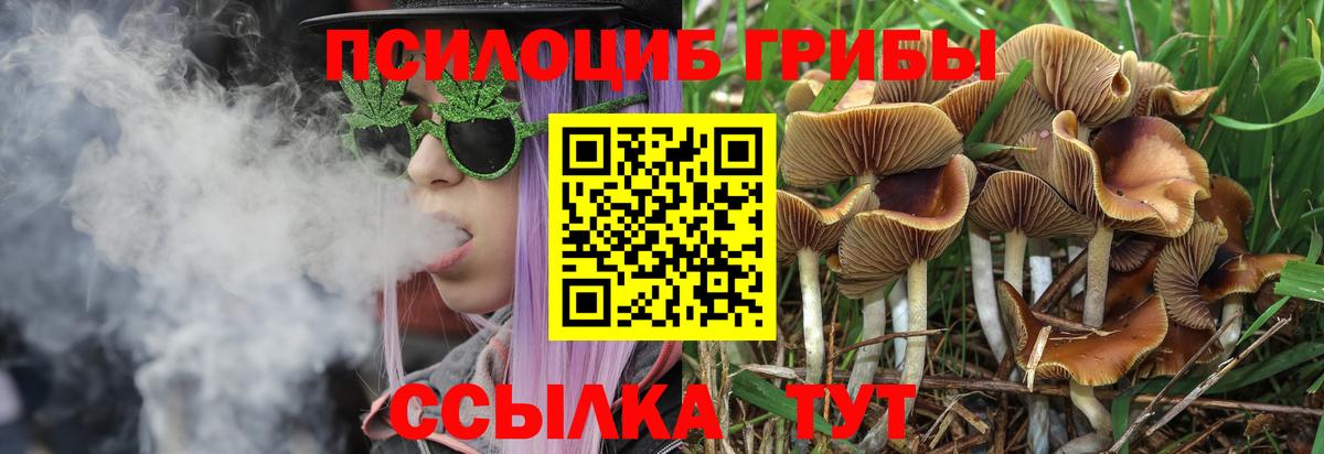 Псилоцибиновые грибы Magic Shrooms Иваново